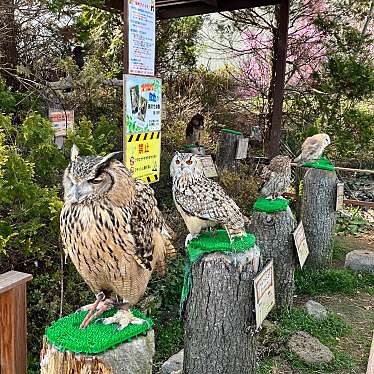 実際訪問したユーザーが直接撮影して投稿した高久乙動物ふれあいウーピー園長のあにまるふれんZOO!! 那須ハイランドパークの写真