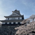 実際訪問したユーザーが直接撮影して投稿した公園町公園豊公園の写真