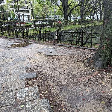 実際訪問したユーザーが直接撮影して投稿した三の丸公園名城公園の写真