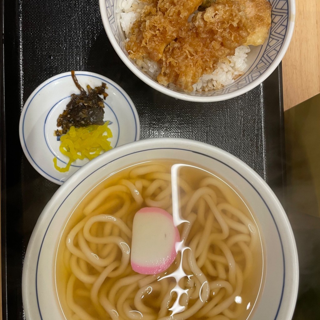 ユーザーが投稿したミニいか天丼Sうどんの写真 - 実際訪問したユーザーが直接撮影して投稿した那の川うどんウエスト 那の川店の写真