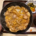 親子丼 - 実際訪問したユーザーが直接撮影して投稿した元町定食屋いろは食堂の写真のメニュー情報