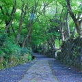 実際訪問したユーザーが直接撮影して投稿した百済寺町寺百済寺の写真