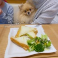 実際訪問したユーザーが直接撮影して投稿した本町田カフェDog Cafe プティシアンの写真