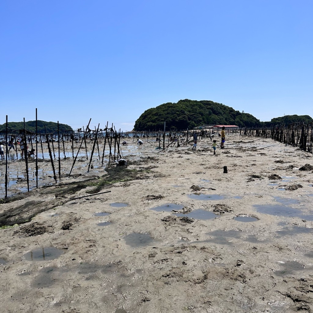 実際訪問したユーザーが直接撮影して投稿した東幡豆町潮干狩り東はず海岸・前島の写真