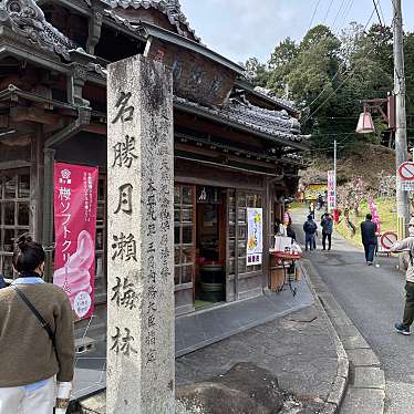 実際訪問したユーザーが直接撮影して投稿した月ヶ瀬月瀬生息地 / 群生地・飛来地月ケ瀬梅渓の写真