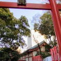 実際訪問したユーザーが直接撮影して投稿した永田町神社山王稲荷神社の写真