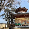 実際訪問したユーザーが直接撮影して投稿した中目黒寺祐天寺の写真