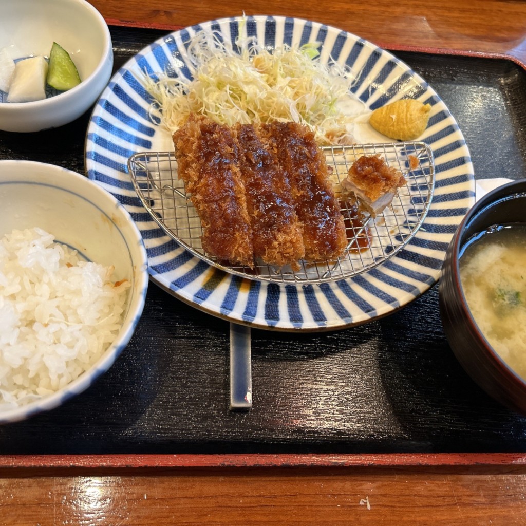 ユーザーが投稿したヒレカツ150g定食の写真 - 実際訪問したユーザーが直接撮影して投稿した富士見とんかつとんかつ 田 浦安舞浜店の写真