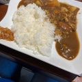 カレー - 実際訪問したユーザーが直接撮影して投稿した立沢カフェサロン・ド・カフェ よしだの写真のメニュー情報