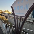 実際訪問したユーザーが直接撮影して投稿した善福寺河川善福寺川の写真