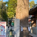 実際訪問したユーザーが直接撮影して投稿した田無町神社田無神社の写真