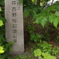 実際訪問したユーザーが直接撮影して投稿した駒込公園染井吉野桜記念公園の写真