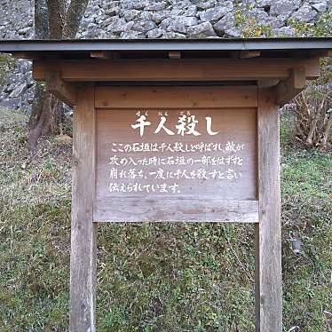 ぷぺぽさんが投稿した東本小路城 / 城跡のお店延岡城跡/ノベオカジョウシの写真