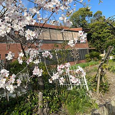 実際訪問したユーザーが直接撮影して投稿した大岡町神社白山神社の写真