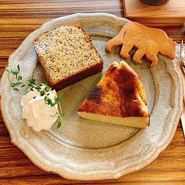 実際訪問したユーザーが直接撮影して投稿した八幡町カフェCAFE シトカの写真