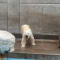 実際訪問したユーザーが直接撮影して投稿した戸賀塩浜水族館 / アクアリウム男鹿水族館GAOの写真