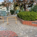 実際訪問したユーザーが直接撮影して投稿した亀戸公園文泉公園の写真