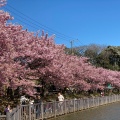 実際訪問したユーザーが直接撮影して投稿した南下浦町上宮田公園小松ケ池公園の写真