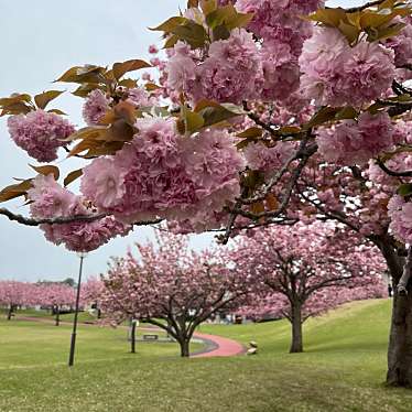 実際訪問したユーザーが直接撮影して投稿した熊倉公園熊倉公園の写真