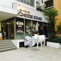 実際訪問したユーザーが直接撮影して投稿した富ヶ谷チーズ / 乳製品& CHEESE STANDの写真