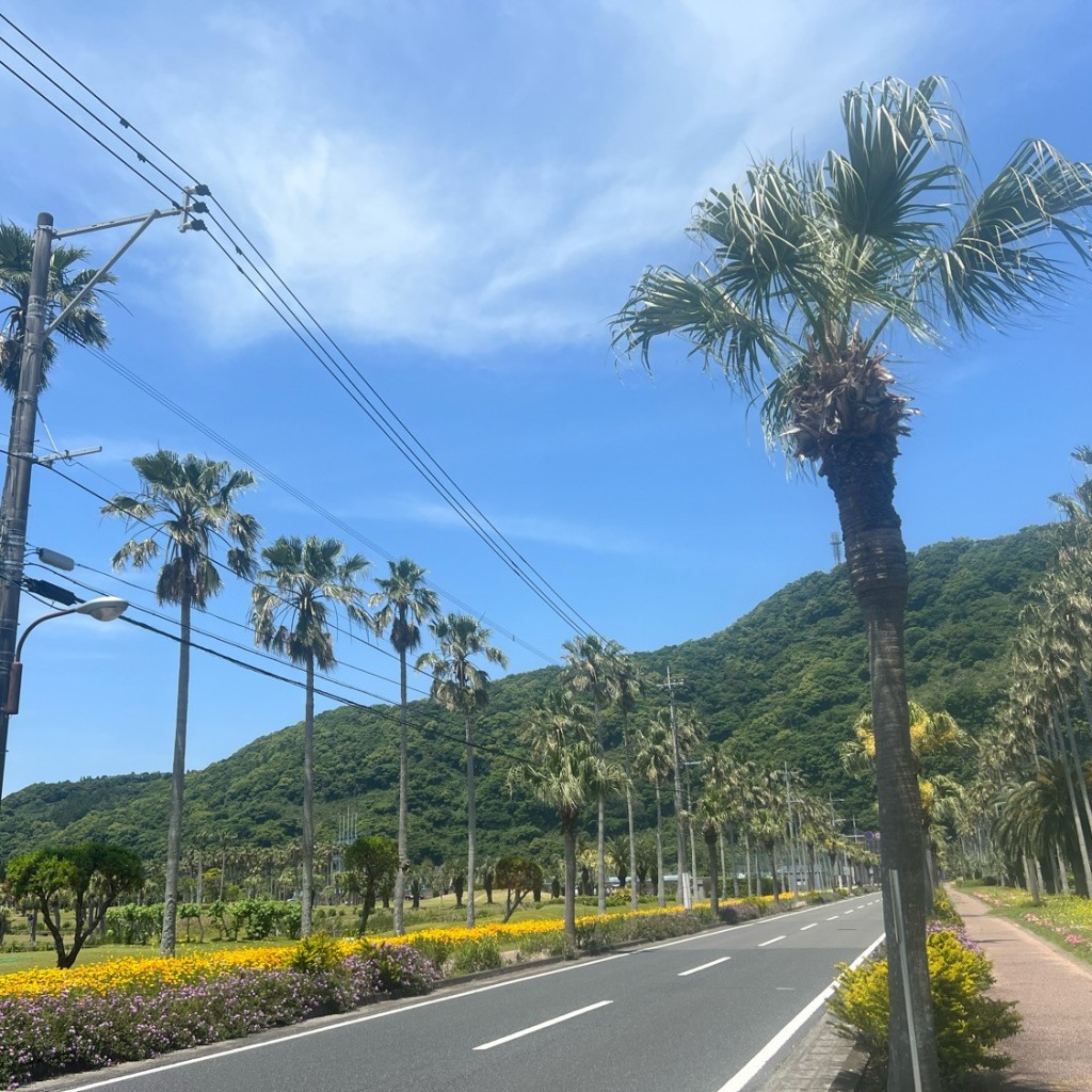 実際訪問したユーザーが直接撮影して投稿した東方公園オーストラリアの森の写真