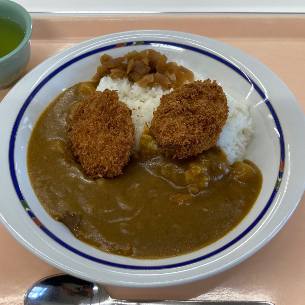 ユーザーが投稿したヒレカツカレーの写真 - 実際訪問したユーザーが直接撮影して投稿した本郷定食屋東京大学 本郷第二食堂の写真