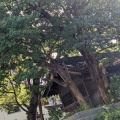 実際訪問したユーザーが直接撮影して投稿した今川神社むすびの神 鳥飼八幡宮の写真