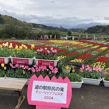 道の駅 原尻の滝のundefinedに実際訪問訪問したユーザーunknownさんが新しく投稿した新着口コミの写真