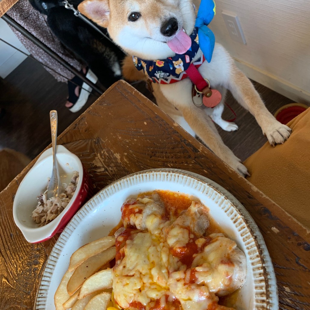 ユーザーが投稿したお肉 ご飯物の写真 - 実際訪問したユーザーが直接撮影して投稿した岩舟町静カフェFOOT POINT -with dog care-の写真