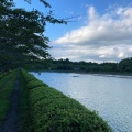 実際訪問したユーザーが直接撮影して投稿した東山湖沼 / 池東山湖の写真