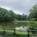 実際訪問したユーザーが直接撮影して投稿した菊名公園菊名池公園の写真