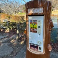 実際訪問したユーザーが直接撮影して投稿した飯富公園袖ケ浦(そでがうら)公園の写真