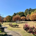 実際訪問したユーザーが直接撮影して投稿した幸公園四ツ池公園の写真