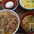 牛丼並ランチ - 実際訪問したユーザーが直接撮影して投稿した本郷町牛丼すき家 さいたま本郷町店の写真のメニュー情報