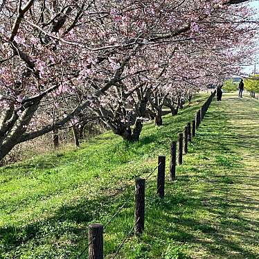 守谷城址公園のundefinedに実際訪問訪問したユーザーunknownさんが新しく投稿した新着口コミの写真