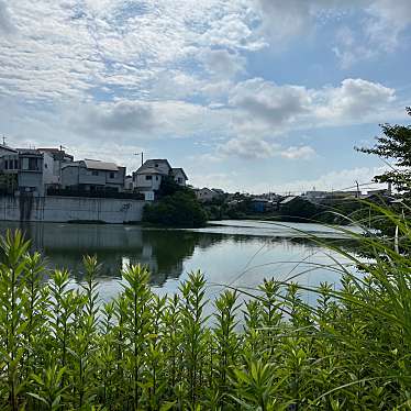 実際訪問したユーザーが直接撮影して投稿した河川三ツ池の写真