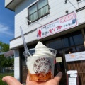 しあわせのメロンミルク - 実際訪問したユーザーが直接撮影して投稿したしらかば町アイスクリーム苫小牧 幸せの生ソフト プチラパンの写真のメニュー情報