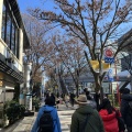 実際訪問したユーザーが直接撮影して投稿した千駄ヶ谷神社鳩森八幡神社の写真