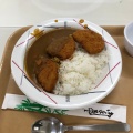 ロースカツカレー - 実際訪問したユーザーが直接撮影して投稿した上ケ原一番町定食屋ビッグ ママの写真のメニュー情報