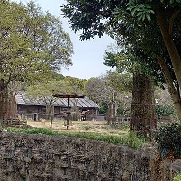 愛媛県立とべ動物園のundefinedに実際訪問訪問したユーザーunknownさんが新しく投稿した新着口コミの写真