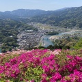 実際訪問したユーザーが直接撮影して投稿した柚木公園冨士山公園の写真