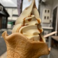 実際訪問したユーザーが直接撮影して投稿した横山アイスクリーム佐々木屋小次郎商店の写真