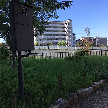 ぶどううり・くすこさんが投稿した南城内公園のお店南城内緑地/ミナミジョウナイリョクチの写真