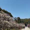 実際訪問したユーザーが直接撮影して投稿した上幟町庭園縮景園の写真