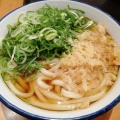 かけうどん - 実際訪問したユーザーが直接撮影して投稿した鳥居そば製麺大学 知立店の写真のメニュー情報