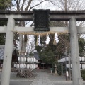 実際訪問したユーザーが直接撮影して投稿した宇治神社縣神社の写真