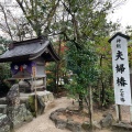 実際訪問したユーザーが直接撮影して投稿した佐草町神社八重垣神社の写真