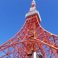 実際訪問したユーザーが直接撮影して投稿した芝公園展望台 / 展望施設東京タワーの写真