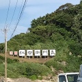 実際訪問したユーザーが直接撮影して投稿した太海浜島仁右衛門島の写真