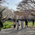 実際訪問したユーザーが直接撮影して投稿した白山植物園 / 樹木園小石川植物園の写真